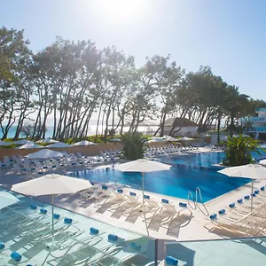 book here